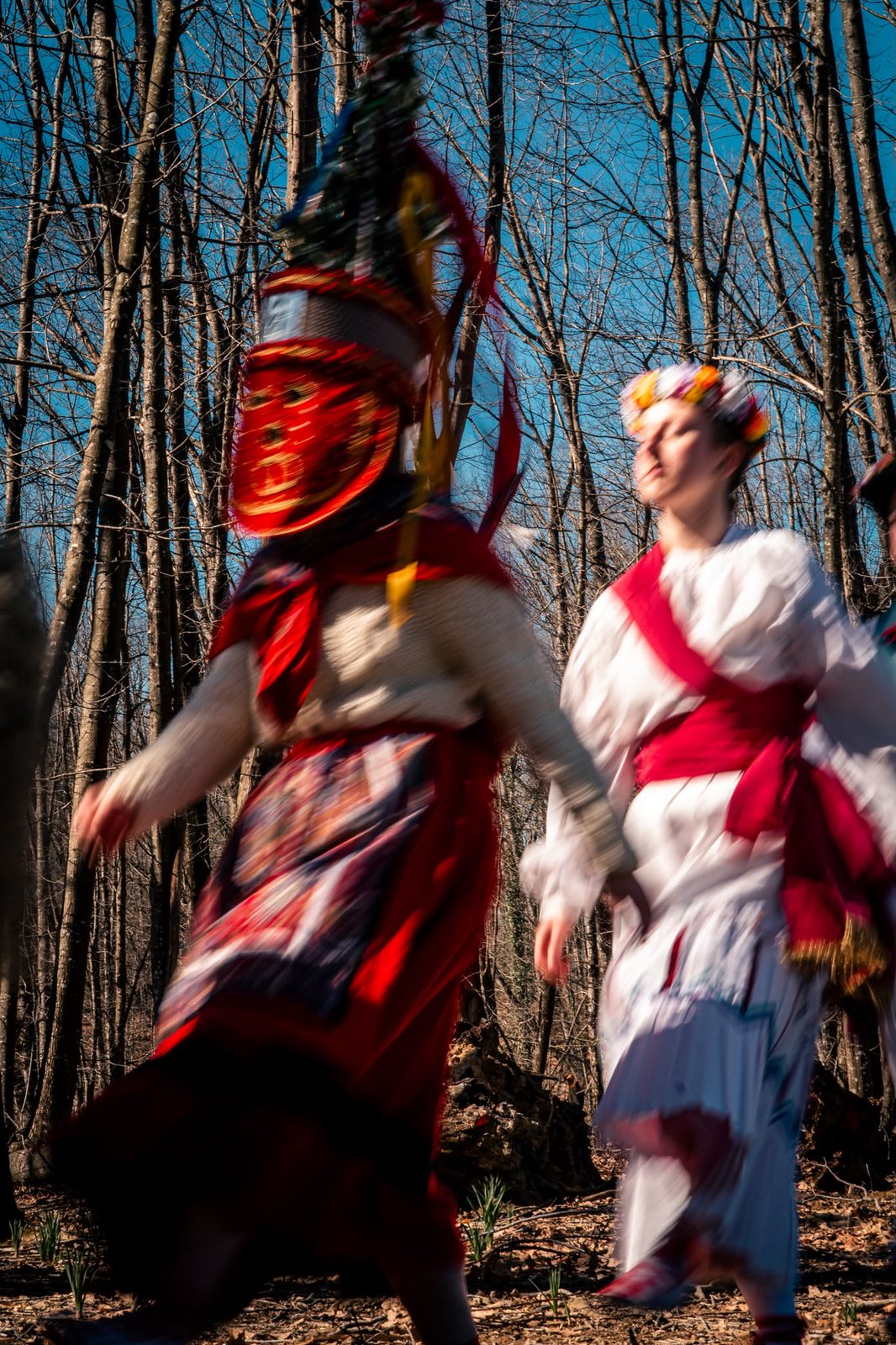 Danseurs du carnaval dans la forêt