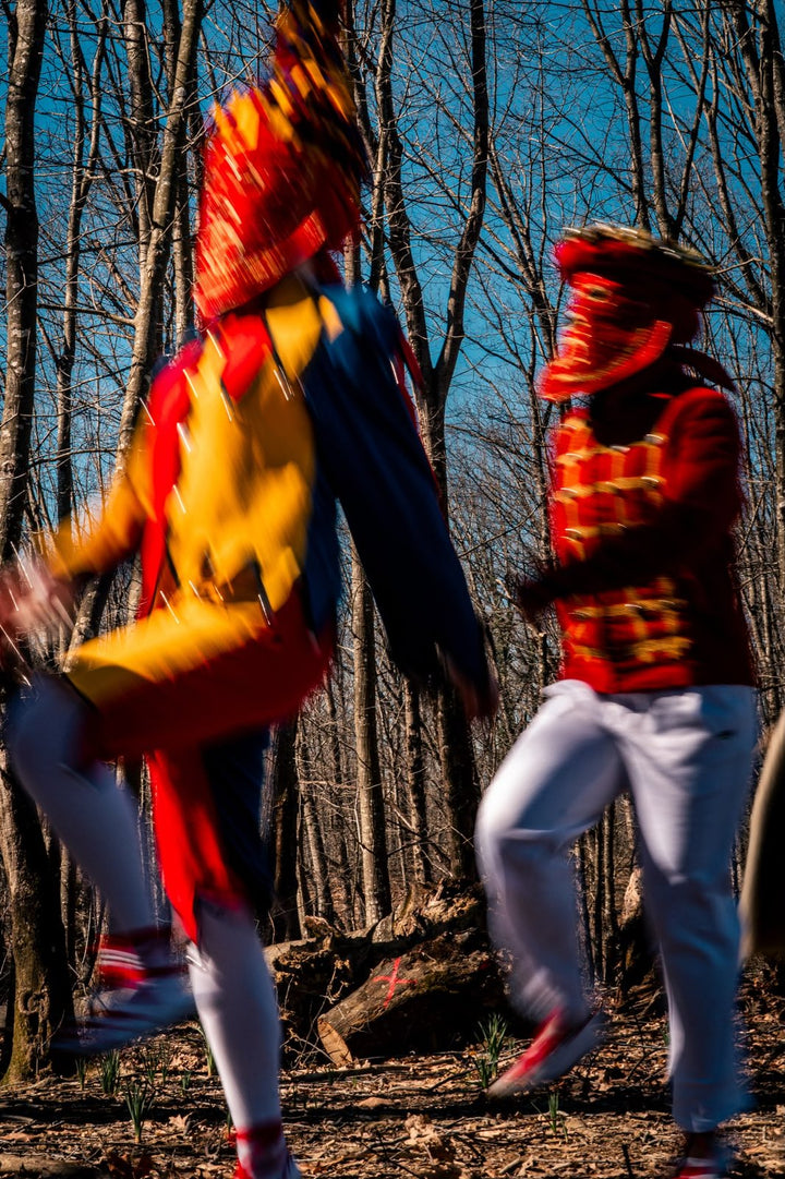 Danseurs du carnaval en mouvement