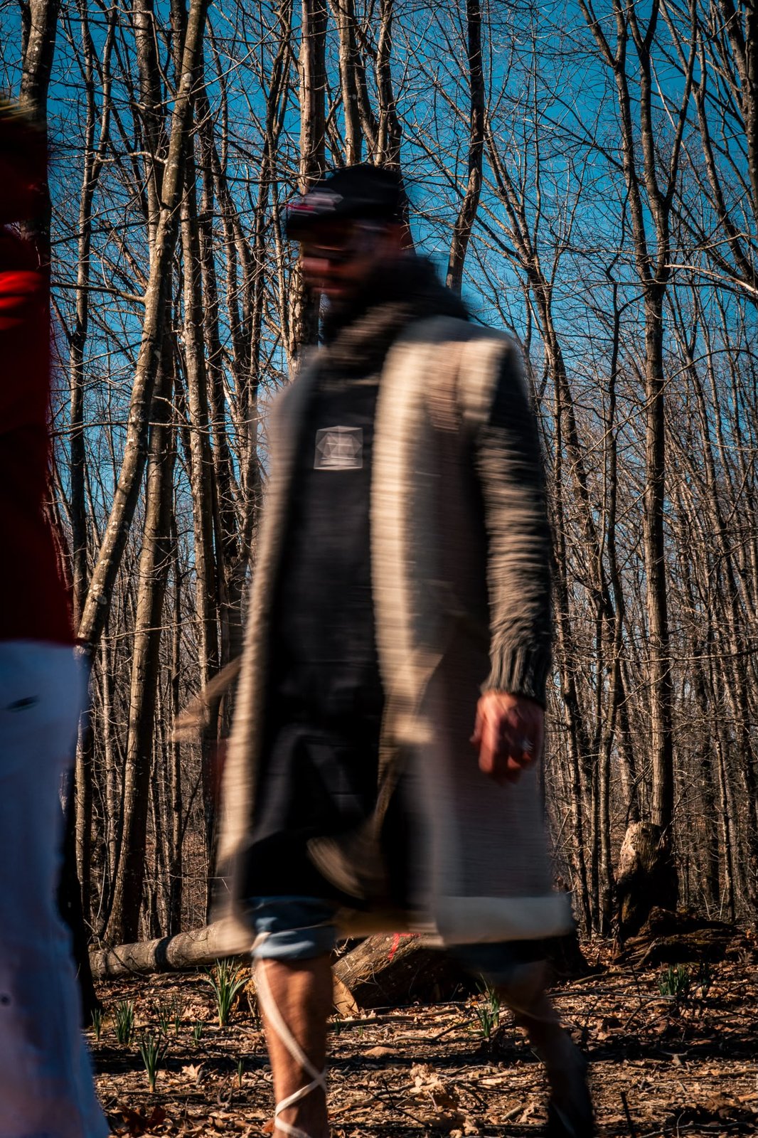 Arsène marche dans la forêt